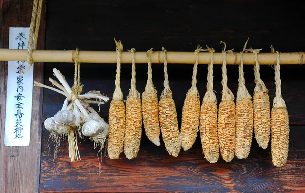 Dry corn — Stock Photo, Image