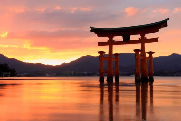 Miya jima tori gece — Stok fotoğraf