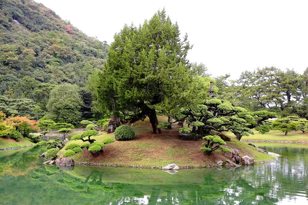 Trees in a small lake — Stock Photo, Image