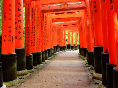 kyoto-Toris