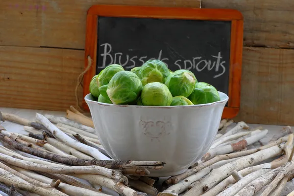 Brüksel lahanası kase — Stok fotoğraf