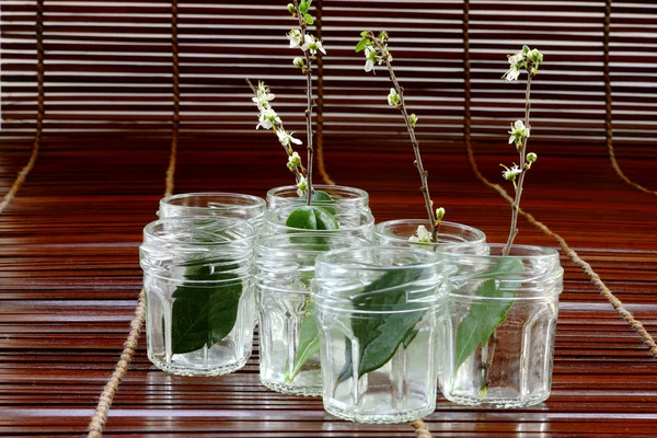 Glas mit Blumen — Stockfoto