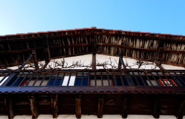 çatı ve dal-lesaka