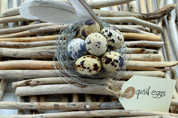 Huevos pequeños — Foto de Stock