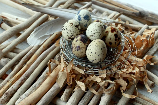 Ovos e ninho — Fotografia de Stock