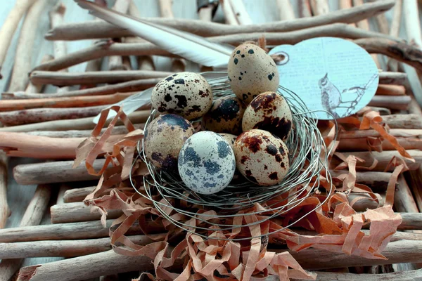 Quail eggs with label — Stock Photo, Image