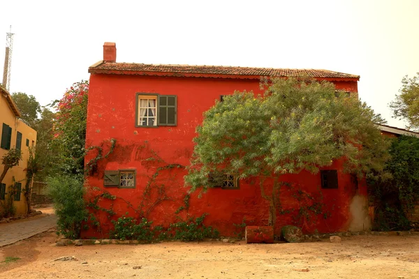 House and tree-Goree — Stock Photo, Image