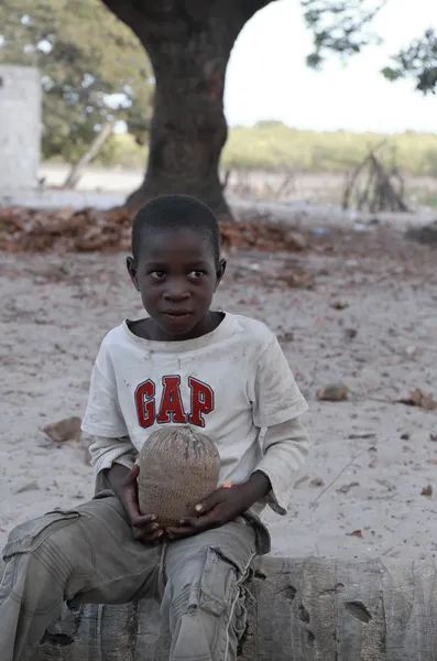 Dreng med kokos - Stock-foto