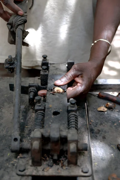 Cashewnötter factory-senegal Stockbild