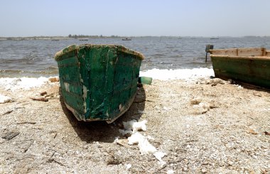 Yeşil Kano-pink lake-senegal