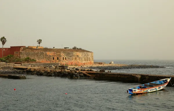 gavur-Senegal