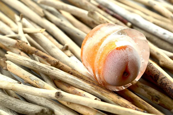 Замороженный абрикос — стоковое фото