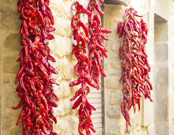 Pimientos rojos —  Fotos de Stock