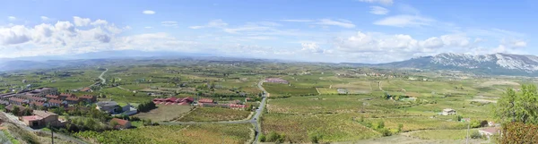 Vingårdar i la rioja vin, Spanien — Stockfoto