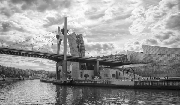 Guggenheimovo muzeum, Bilbao — Stock fotografie