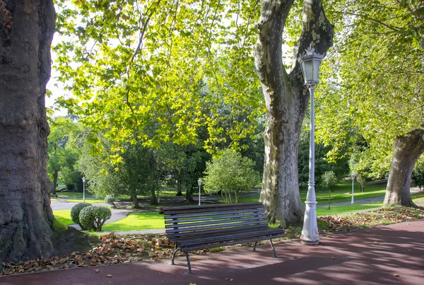 Banc dans un parc — Photo