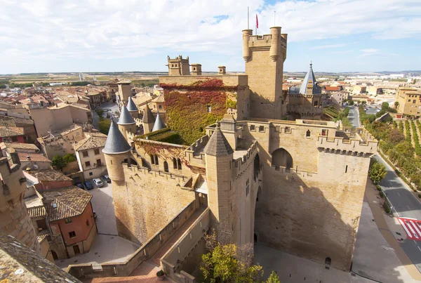 Olivenburg, Navarra — Stockfoto