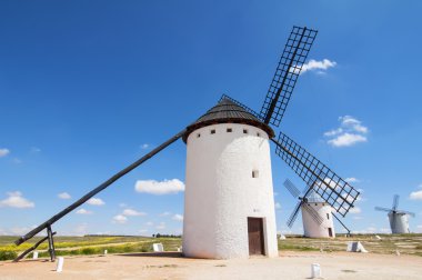 Campo de Criptana 'daki yel değirmenleri