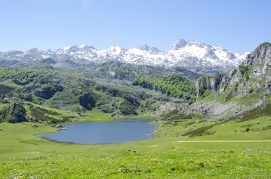 covadonga göller