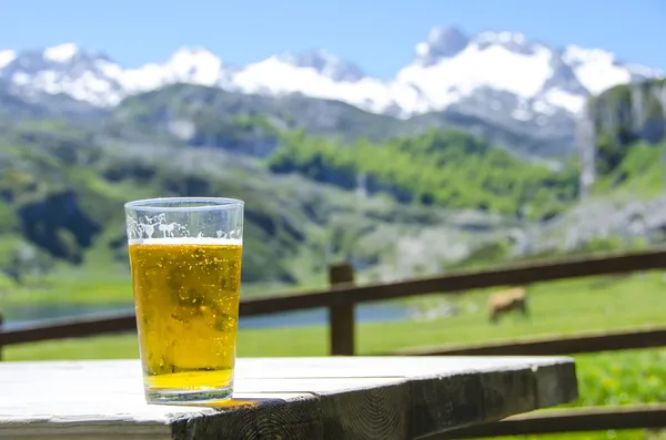 Beer in the mountain — Stock Photo, Image