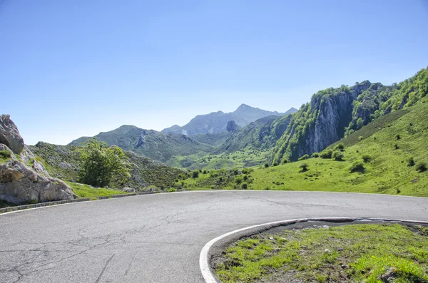 Droga w picos de europa w asturias, Hiszpania — Zdjęcie stockowe