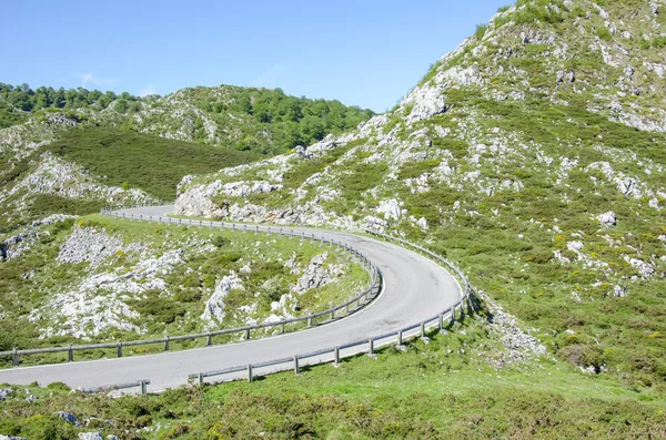 Estrada em Picos de Europa em Astúrias, Espanha — Fotografia de Stock