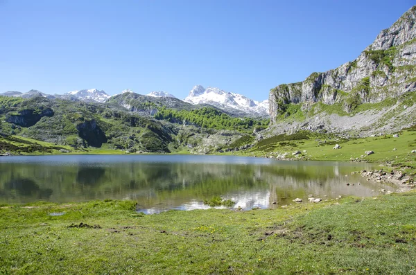 Lago covadonga — Fotografia de Stock