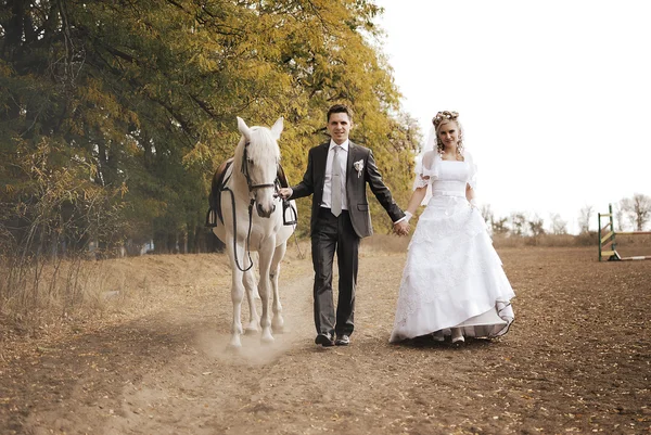 Coppia appena sposata e cavallo bianco — Foto Stock