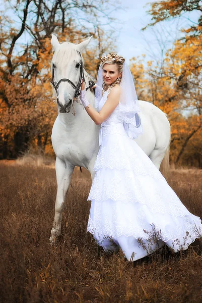 Bride and white horse — Stock Photo, Image