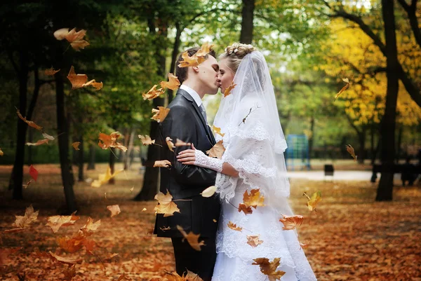Recién casados besándose en el parque de otoño Imagen de archivo