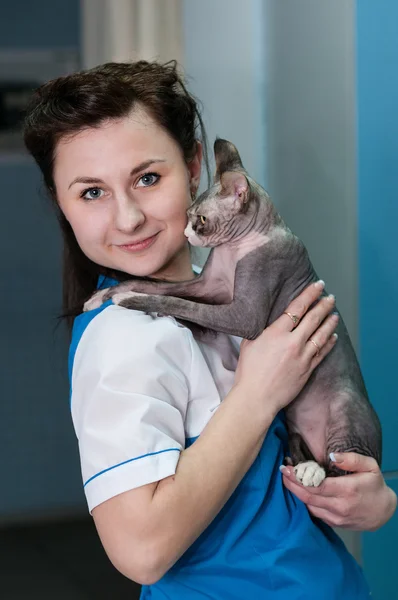 Tierärztliche Klinik — Stockfoto