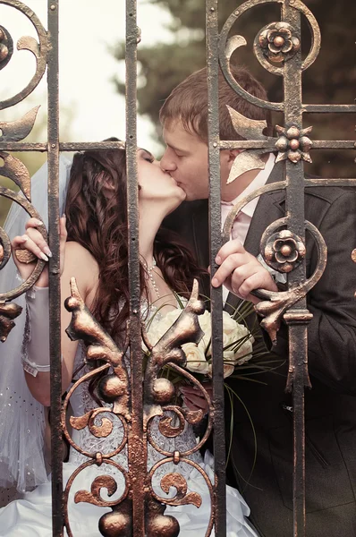 Beautiful newly married couple outdoors — Stock Photo, Image