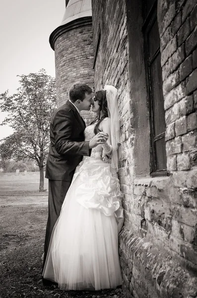 Beautiful newly married couple outdoors — Stock Photo, Image