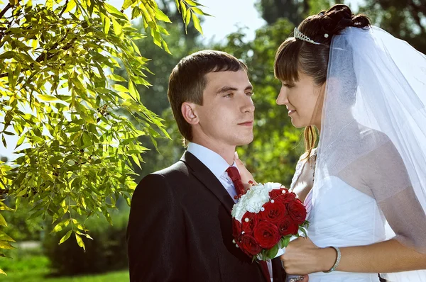 Just married couple — Stock Photo, Image