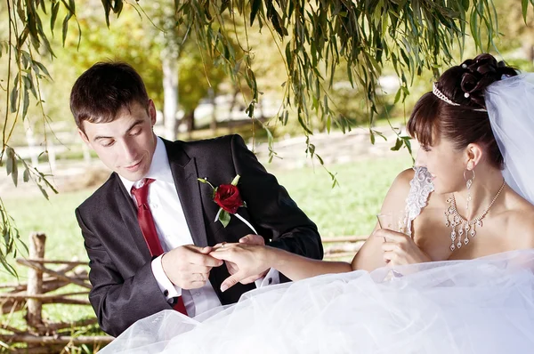 Just married couple — Stock Photo, Image