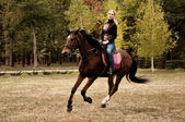 schönes Mädchen reitet auf einem Pferd auf dem Herbstfeld