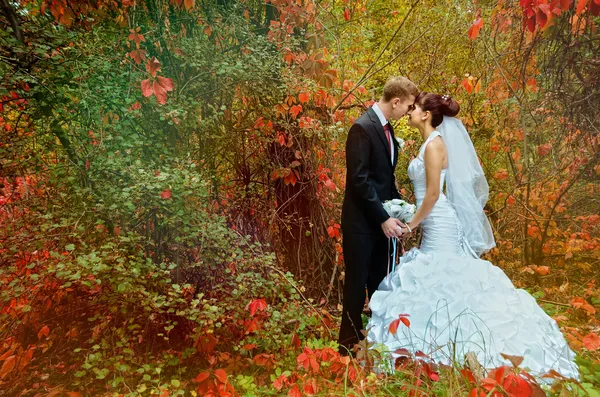 Heureux jeune couple de mariage dans le parc — Photo