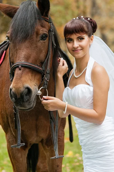 Beautiful bride and a horse — Stock Photo, Image