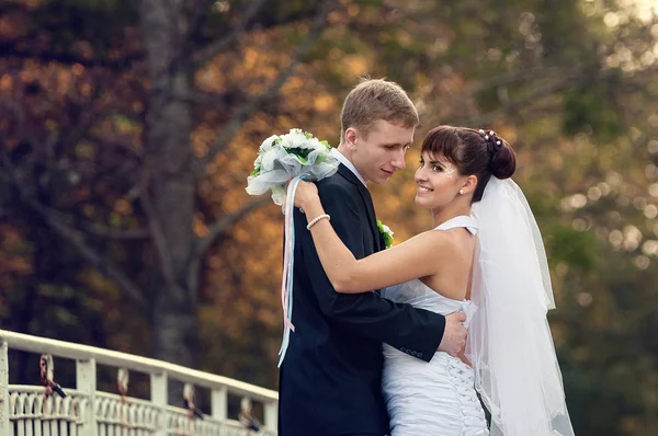 幸せなちょうど結婚カップル小さな橋の上に立って — ストック写真