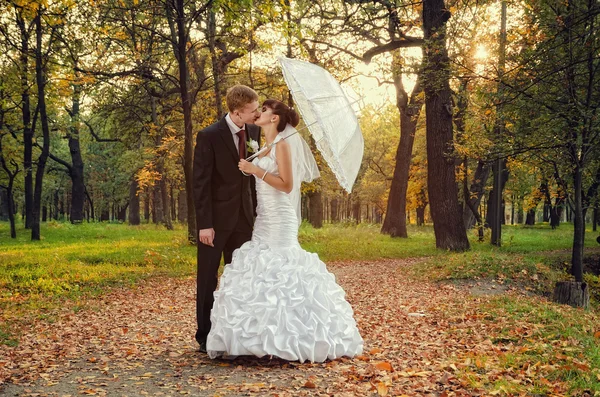 Bride and groom kissing in the park — Stock Photo, Image