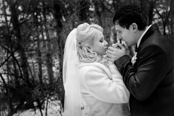 Χειμερινός γάμος — Φωτογραφία Αρχείου