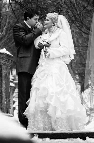 Zimní svatba — Stock fotografie