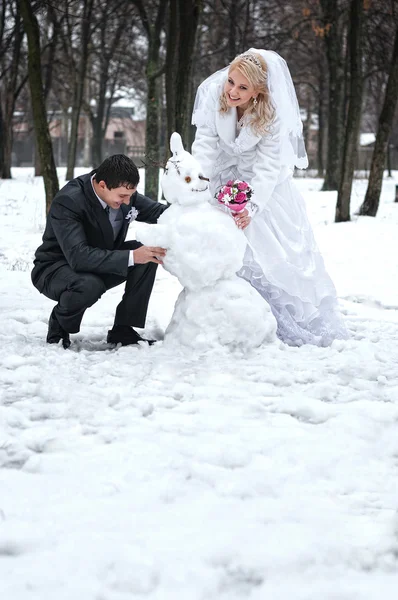 Vinterbröllop Stockbild