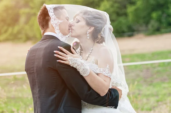 Young couple kissing at wedding — Stock Photo, Image