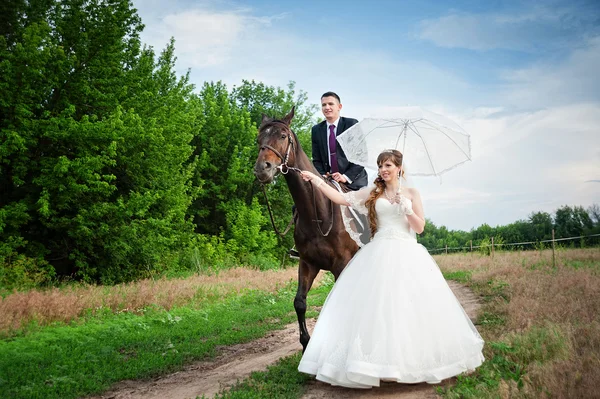 Mladí novomanželé chůzi s koněm — Stock fotografie