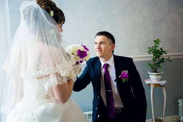 Wedding of a young couple. Groom stands on one knee — Stock Photo, Image