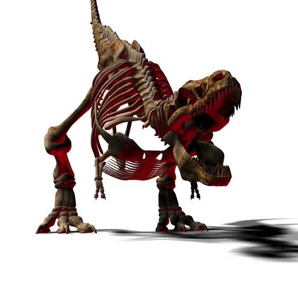 T-Rex скелет — стокове фото
