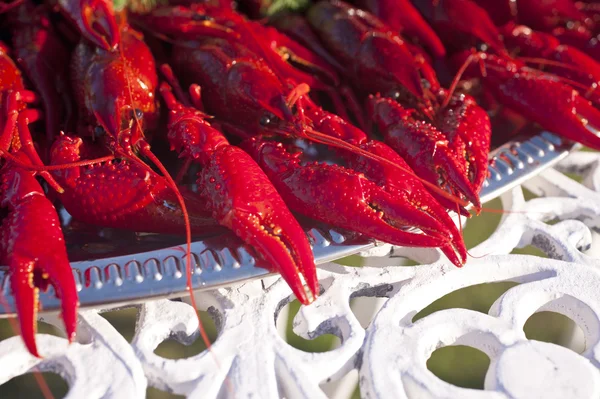 Crayfishes — Stock Photo, Image