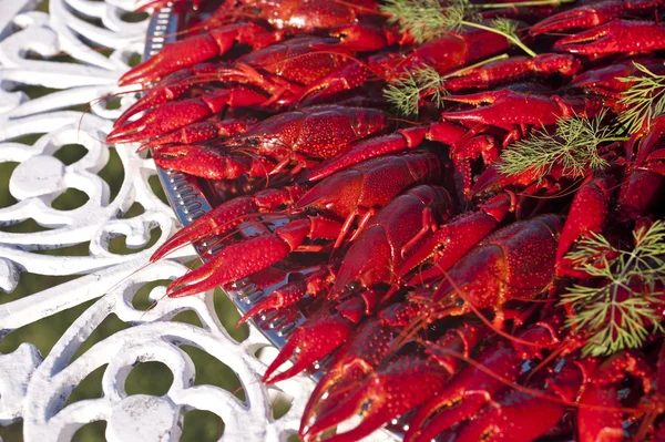 Crayfishes — Stock Photo, Image