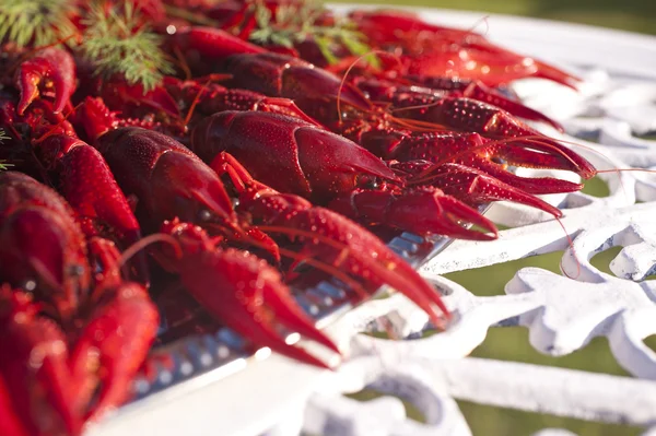 Crayfishes — Stock Photo, Image